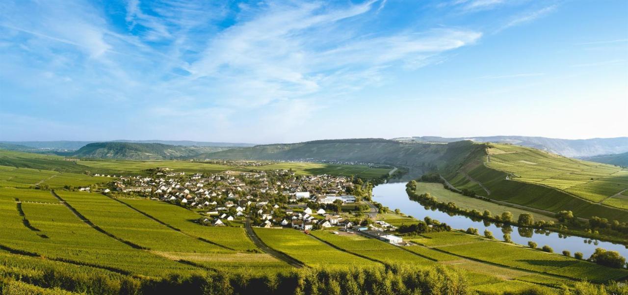 Ferienweingut Ulrike Thul Appartement Leiwen Buitenkant foto