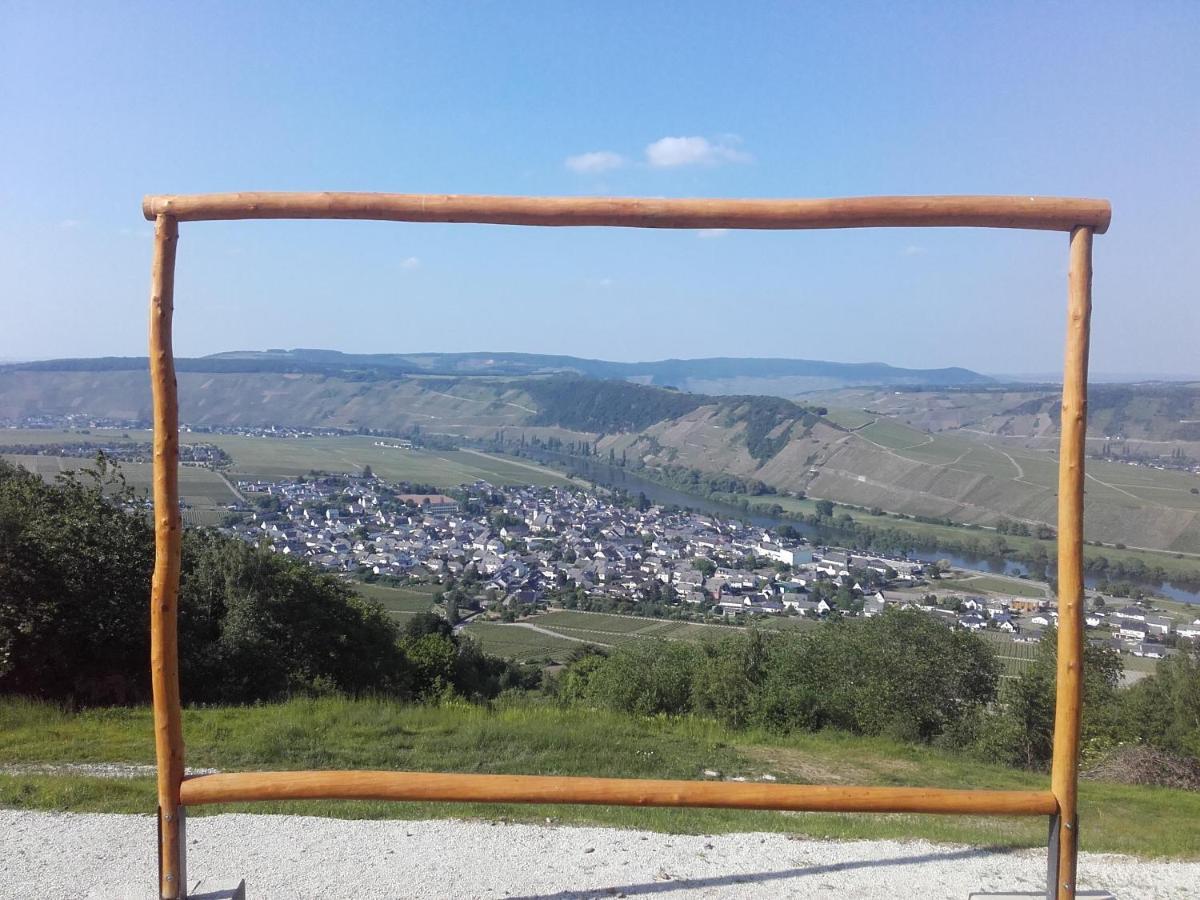 Ferienweingut Ulrike Thul Appartement Leiwen Buitenkant foto