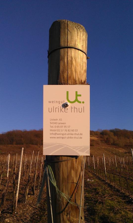 Ferienweingut Ulrike Thul Appartement Leiwen Buitenkant foto